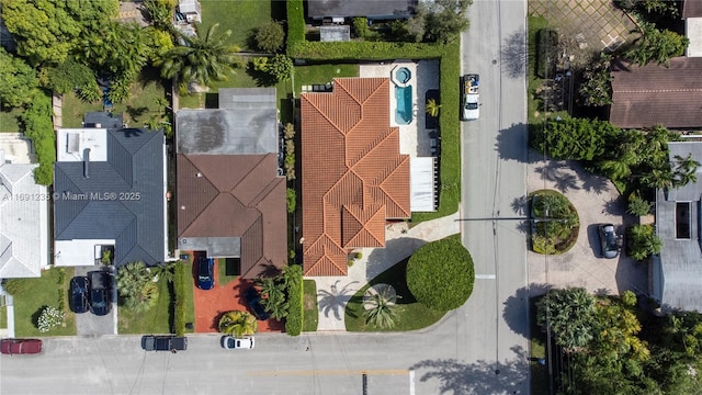 bird's eye view