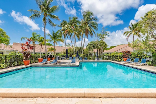 view of pool featuring a patio