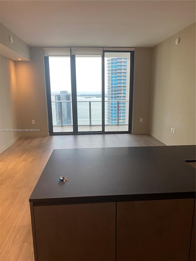 unfurnished room featuring light hardwood / wood-style floors