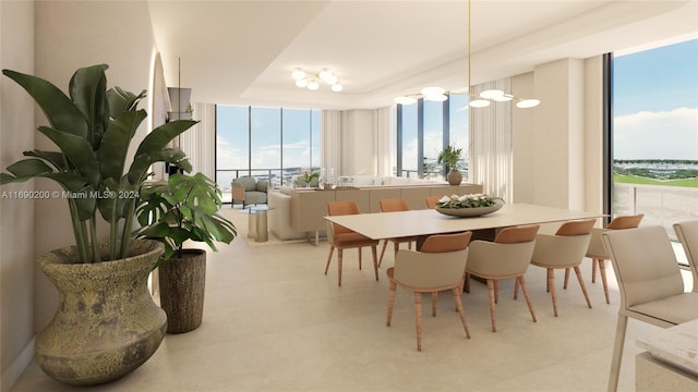 dining area with a tray ceiling and a wealth of natural light