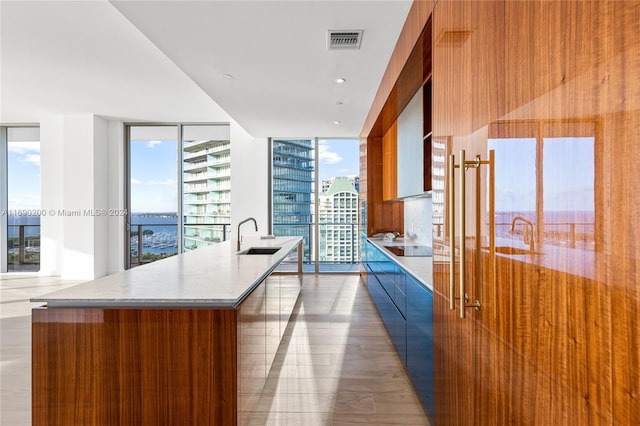 kitchen featuring floor to ceiling windows, sink, plenty of natural light, and a kitchen island with sink