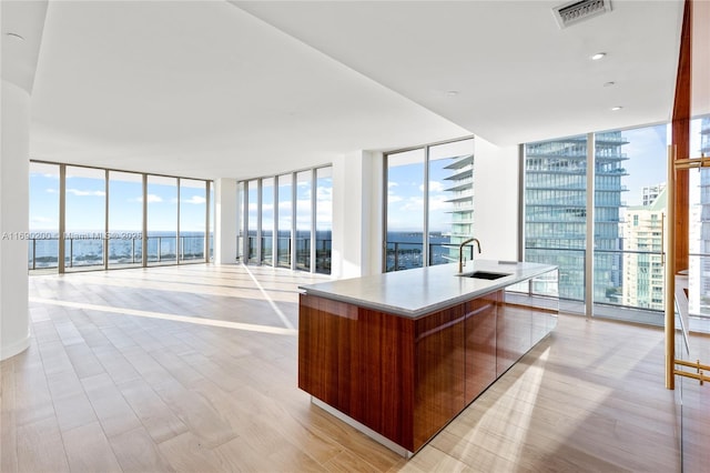 unfurnished office with light wood finished floors, visible vents, a wall of windows, and a sink