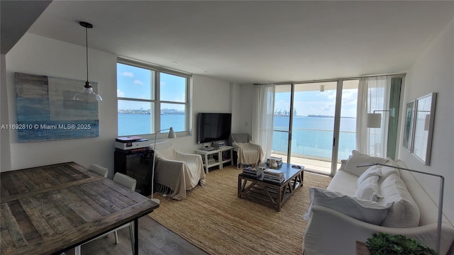 living room featuring hardwood / wood-style floors and a wall of windows