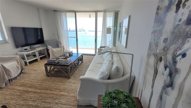 living room with expansive windows