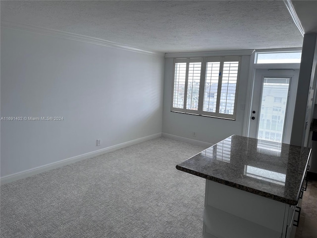 carpeted spare room with a textured ceiling and ornamental molding