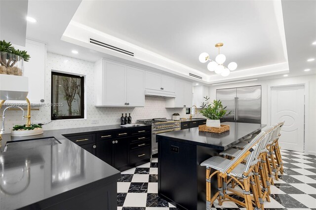 kitchen with high quality appliances, sink, white cabinets, and a tray ceiling