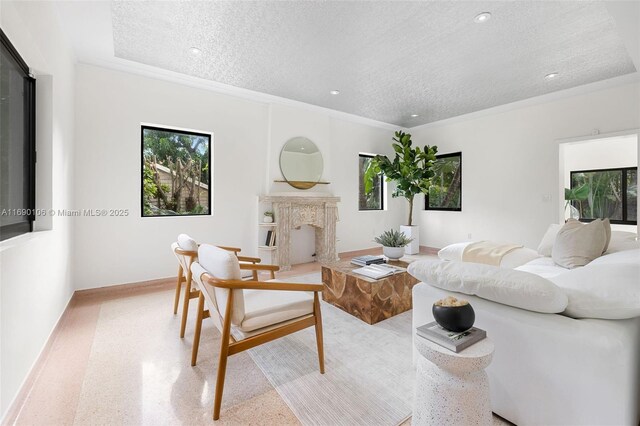 living room featuring crown molding, a healthy amount of sunlight, a fireplace, and a textured ceiling