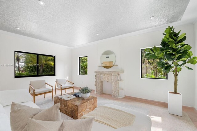 living room with ornamental molding, a fireplace, and a textured ceiling