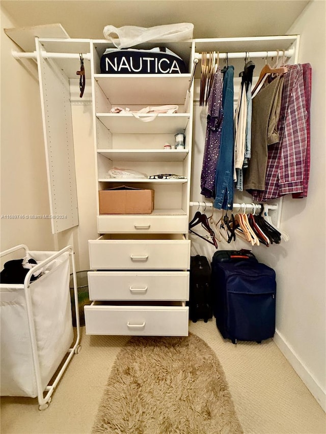 spacious closet featuring carpet floors