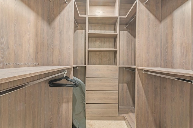 view of spacious closet