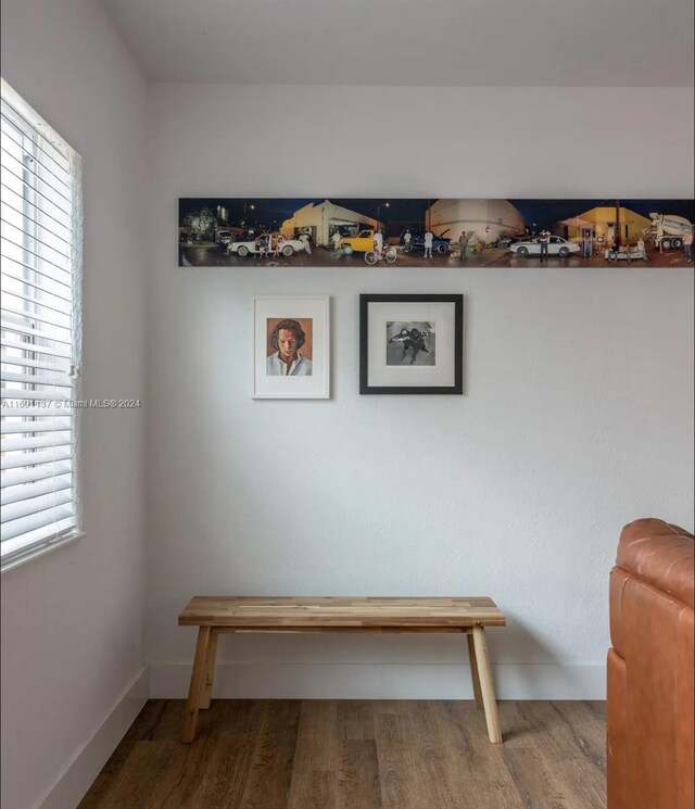 sitting room featuring wood-type flooring