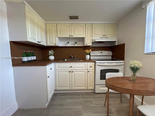 kitchen featuring sink and electric range