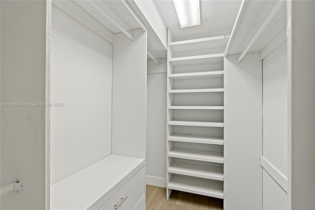 walk in closet with light hardwood / wood-style flooring