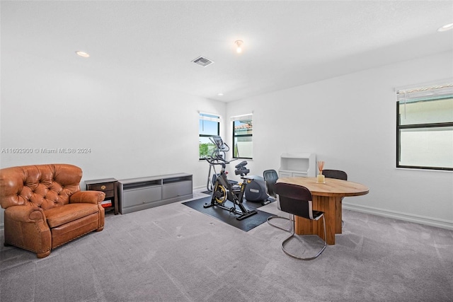 office space featuring light colored carpet and a healthy amount of sunlight