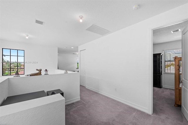 interior space featuring carpet flooring and plenty of natural light