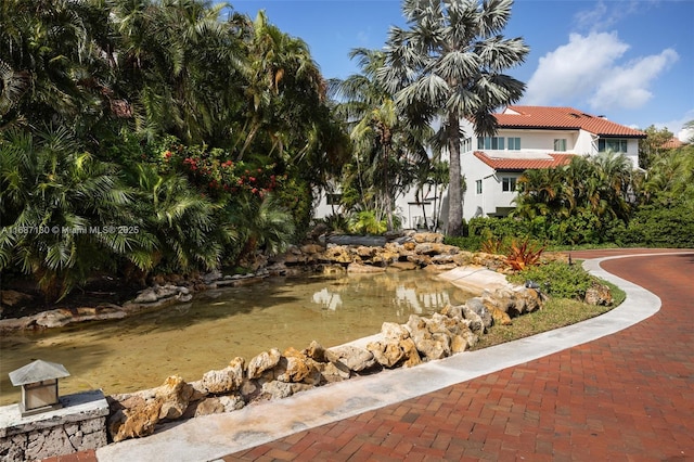 2000 S Bayshore Dr Unit 4, Coconut Grove, FL 33133 - view of yard