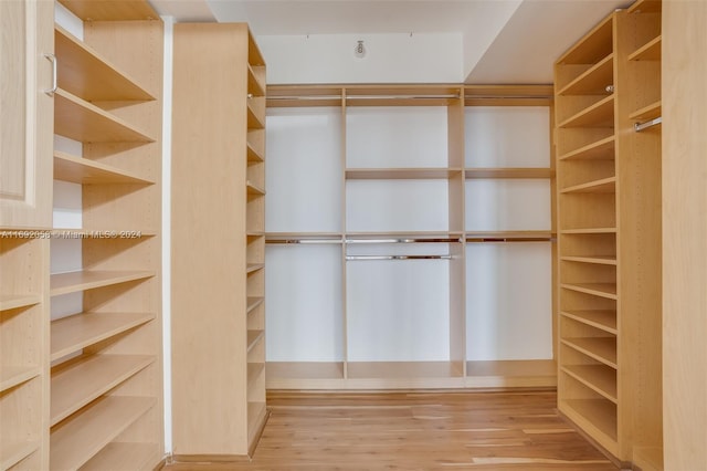 walk in closet featuring light wood-type flooring