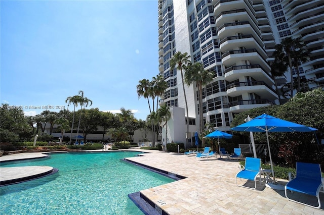 view of swimming pool featuring a patio area