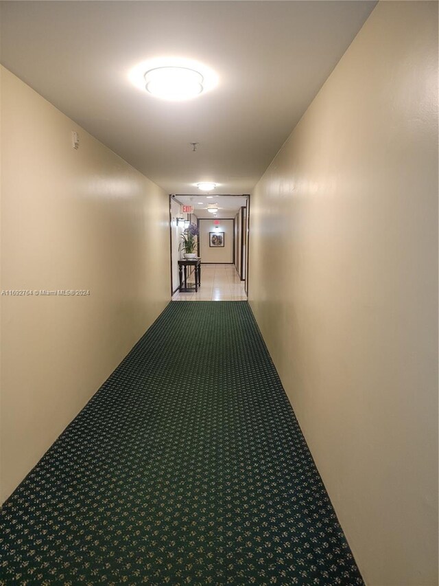 hallway with carpet