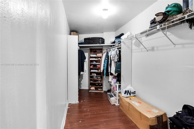 spacious closet with dark hardwood / wood-style flooring