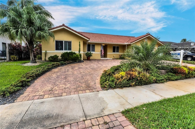 ranch-style house with a front lawn