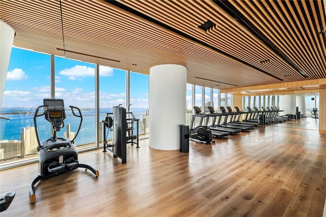 workout area with hardwood / wood-style floors, a healthy amount of sunlight, a water view, and floor to ceiling windows