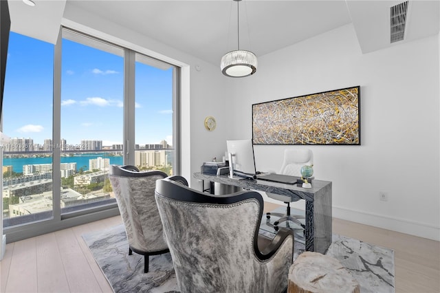 home office featuring light hardwood / wood-style floors and a water view