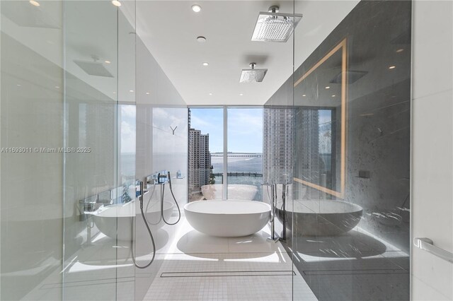 bathroom featuring expansive windows and plus walk in shower