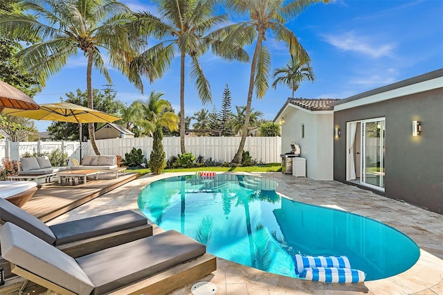 view of pool with a patio