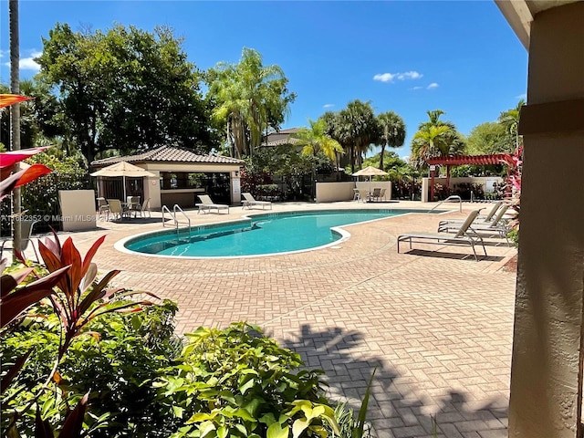 view of pool featuring a patio area