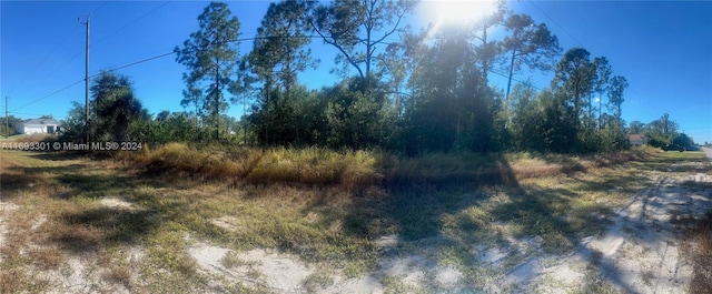 754 Grant Blvd, Lehigh Acres FL, 33974 land for sale