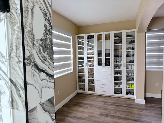 spacious closet with dark hardwood / wood-style flooring