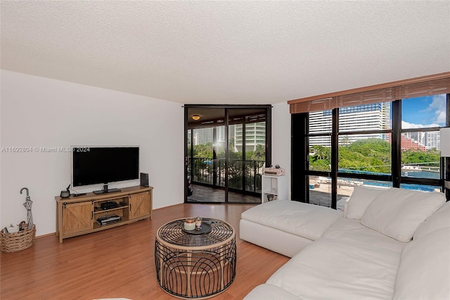 living room featuring a textured ceiling and hardwood / wood-style flooring