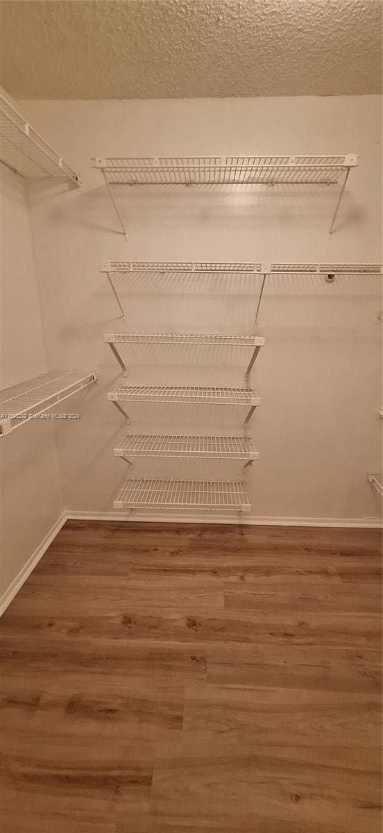 walk in closet with hardwood / wood-style floors