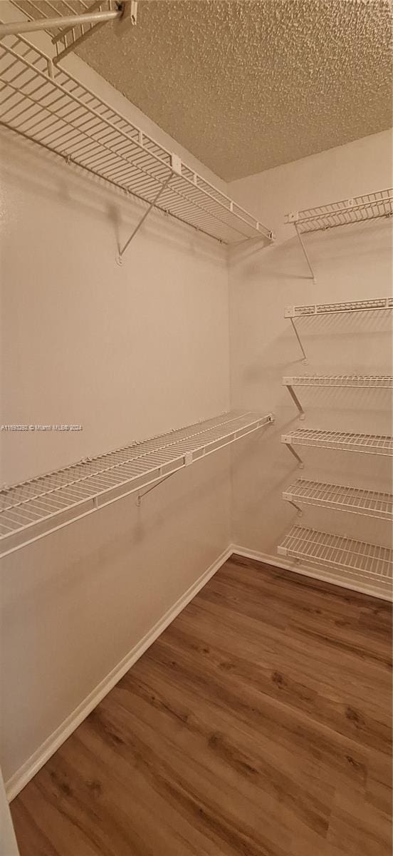 spacious closet with wood-type flooring