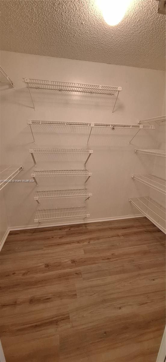 walk in closet with hardwood / wood-style flooring