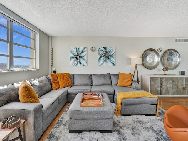 living room with hardwood / wood-style floors and a textured ceiling