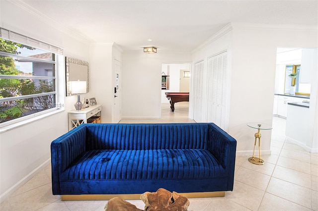 interior space with ornamental molding, pool table, and a closet