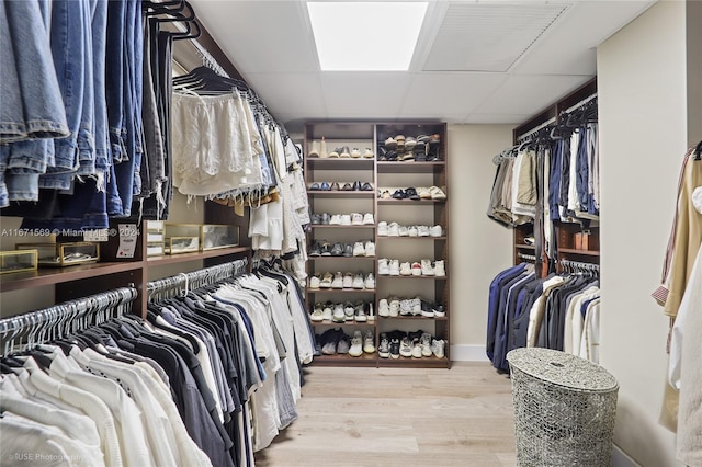 spacious closet with a paneled ceiling and hardwood / wood-style flooring