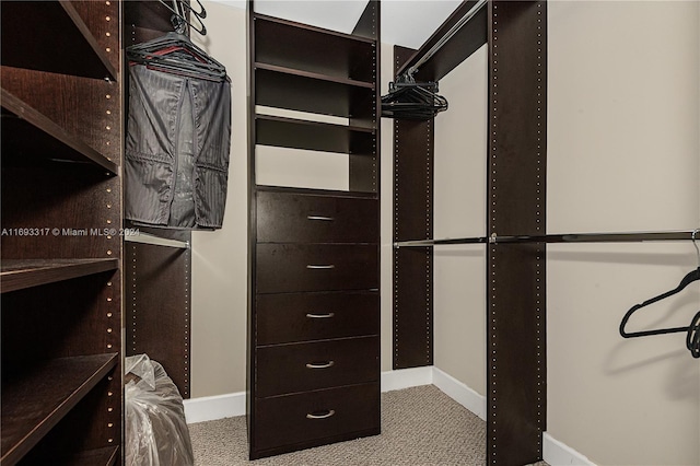 walk in closet with light carpet