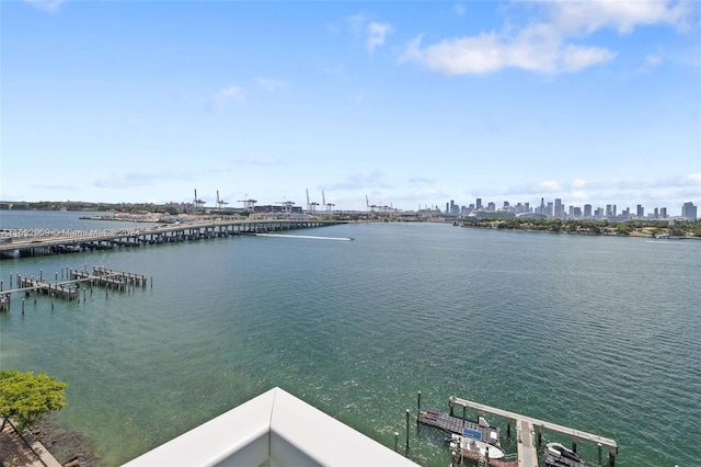 property view of water with a dock