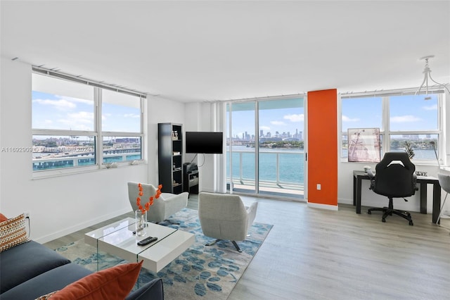 living room with hardwood / wood-style floors and a wealth of natural light