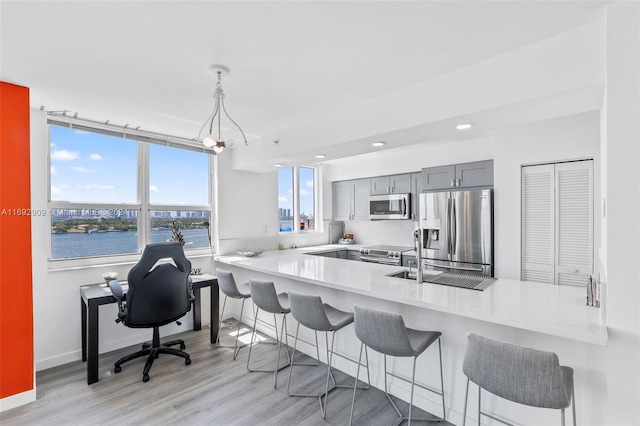 kitchen featuring kitchen peninsula, stainless steel appliances, a water view, and gray cabinets