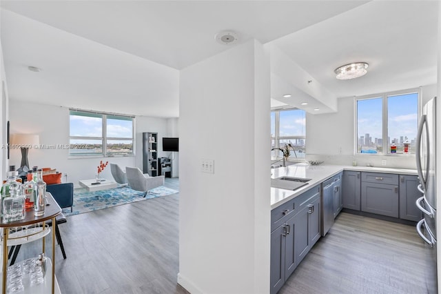 kitchen with gray cabinets, sink, light hardwood / wood-style flooring, and appliances with stainless steel finishes