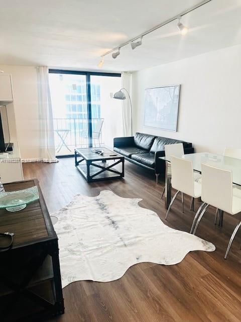 living room with hardwood / wood-style floors, expansive windows, and rail lighting