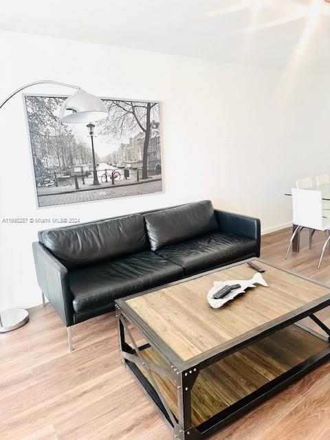 living room featuring hardwood / wood-style flooring