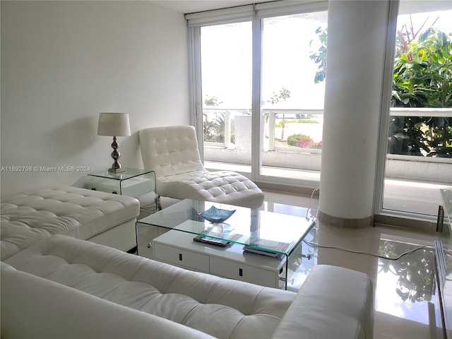 living room with plenty of natural light