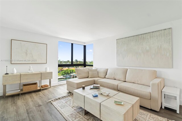 living room featuring floor to ceiling windows and hardwood / wood-style flooring