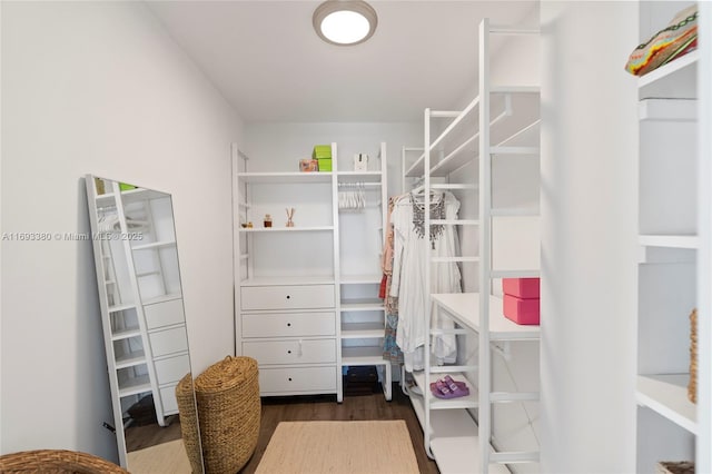 spacious closet with dark wood-type flooring