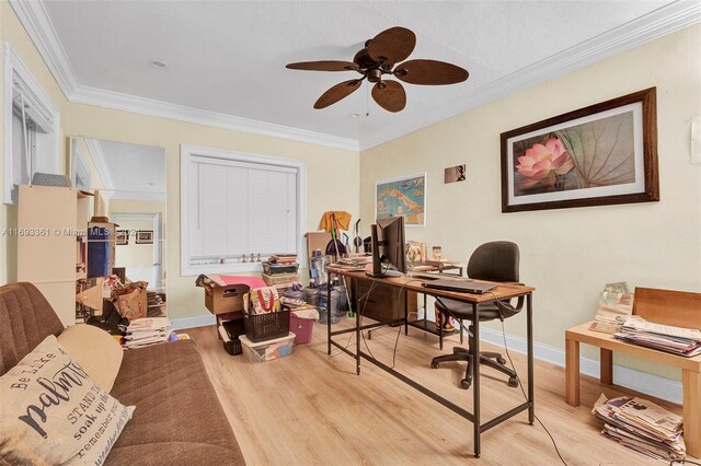 office area featuring ceiling fan, light wood-type flooring, and ornamental molding